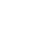 scss-icon